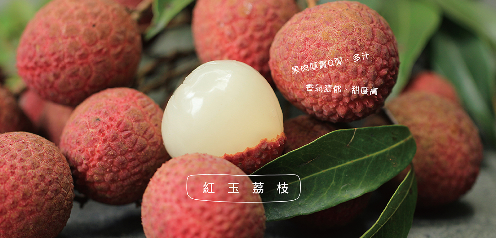 大目農田