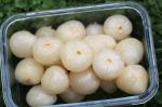 歡喜玉荷包3台斤x4箱