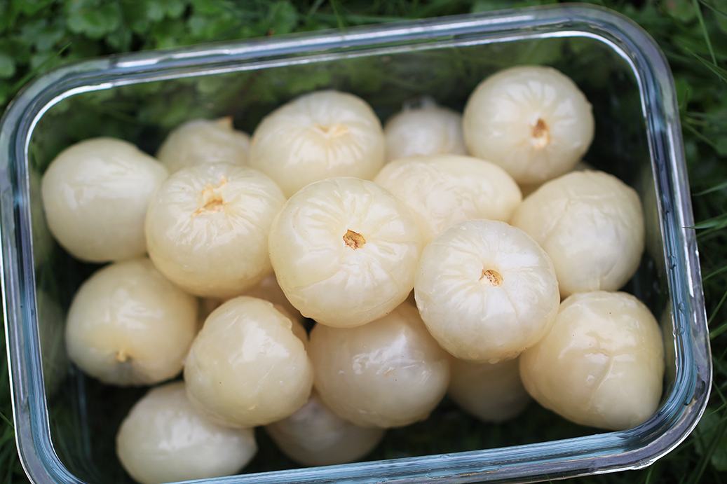 歡喜玉荷包3台斤/箱